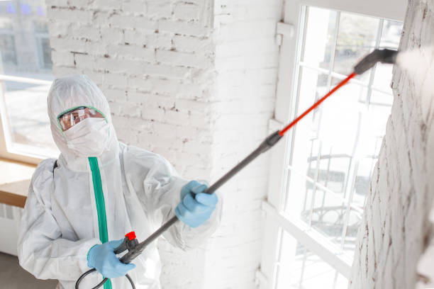 Best Mold Remediation for Healthcare Facilities  in West Carthage, NY