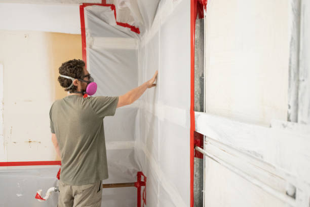 Best Air Quality Testing for Mold Spores  in West Carthage, NY