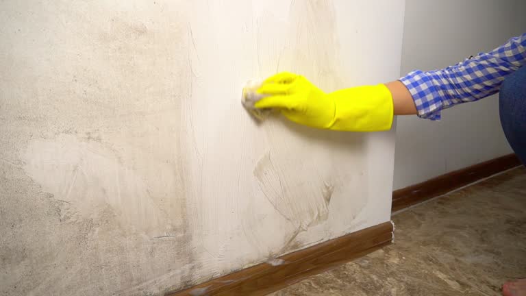 Best Water Damage & Mold Remediation  in West Carthage, NY