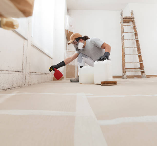 Best Mold Removal for HVAC Installations  in West Carthage, NY