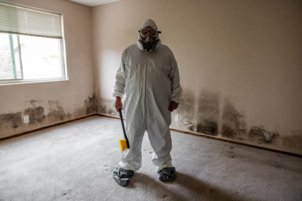 Best Asbestos and Lead Testing During Mold Inspection  in West Carthage, NY